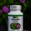 BANABA CAPSULE