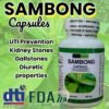 SAMBONG HERBAL CAPSULE (100 Capsules 500mg) ALL NATURALS AND ORGANIC / FDA APPROVED / BY PURONG ORGANIKO HERBAL PRODUCTS