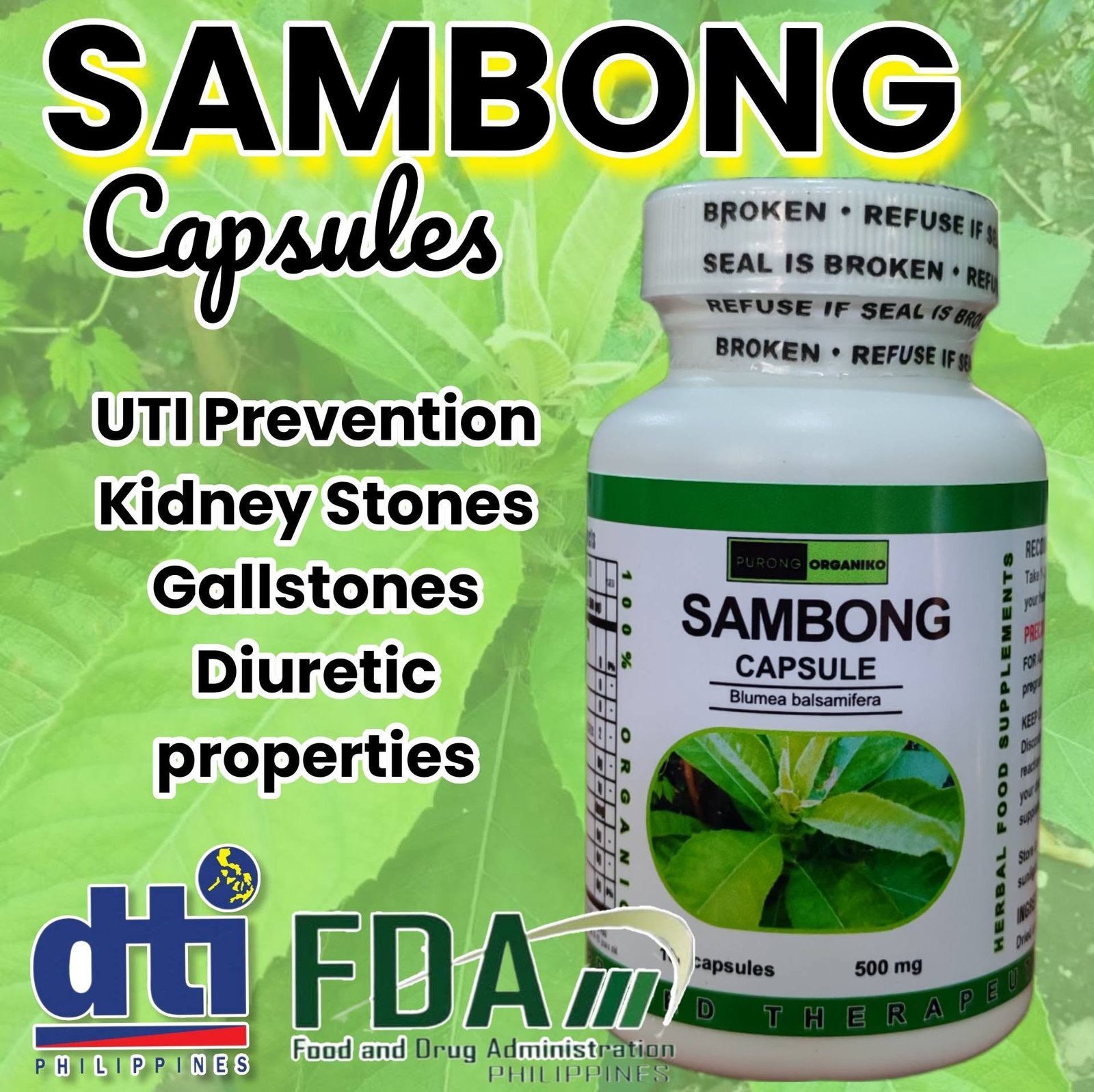 SAMBONG HERBAL CAPSULE (100 Capsules 500mg) ALL NATURALS AND ORGANIC / FDA APPROVED / BY PURONG ORGANIKO HERBAL PRODUCTS