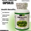 AMPALAYA HERBAL CAPSULE (100 Capsules 500mg) ALL NATURALS AND ORGANIC / FDA APPROVED / BY PURONG ORGANIKO HERBAL PRODUCTS