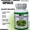 CHANCA PIEDRA CAPSULE (100 Capsules 500mg) ALL NATURALS AND ORGANIC / BY PURONG ORGANIKO HERBAL PRODUCTS