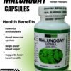 MALUNGGAY (MORINGA) CAPSULES (100 Capsules 500mg) ALL NATURALS AND ORGANIC / FDA APPROVED / BY PURONG ORGANIKO HERBAL PRODUCTS