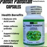 PANSIT PANSITAN CAPSULE (100 Capsules 500mg) ALL NATURALS AND ORGANIC / FDA APPROVED / BY PURONG ORGANIKO HERBAL PRODUCTS